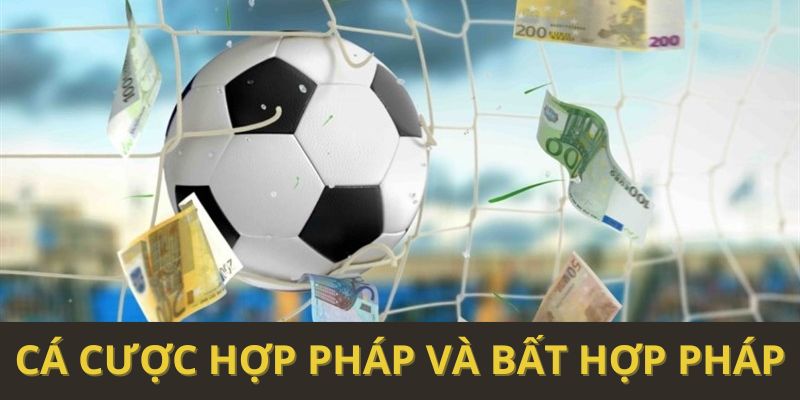 Cá cược hợp pháp và bất hợp pháp