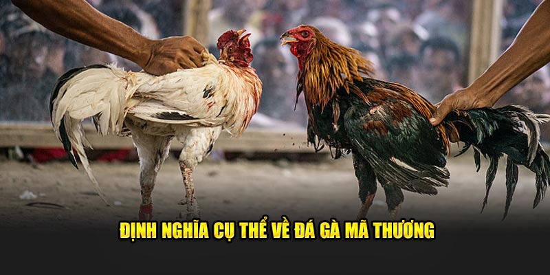 Định nghĩa cụ thể về đá gà mã thương