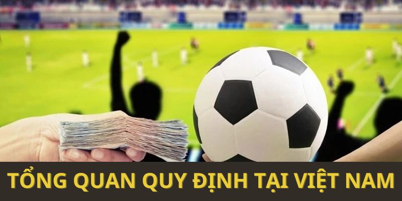 Tổng quan quy định tại Việt Nam