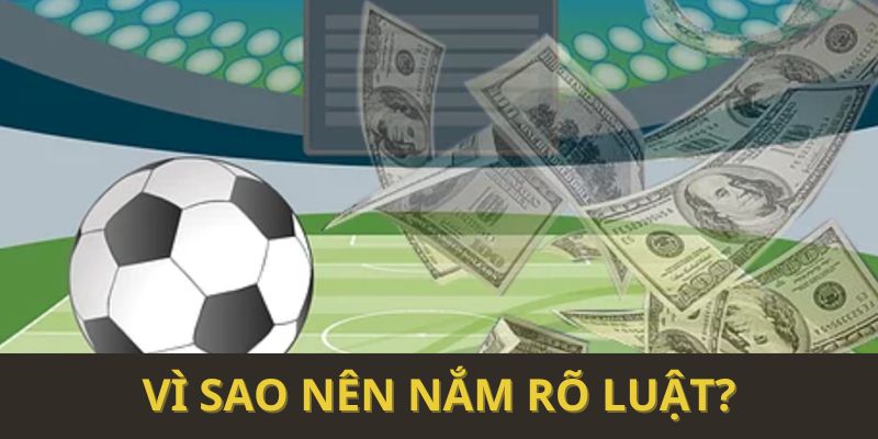 Vì sao nên nắm rõ luật?